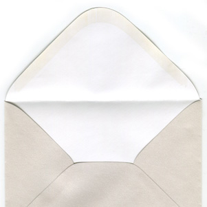 Pearl envelope - snake motive