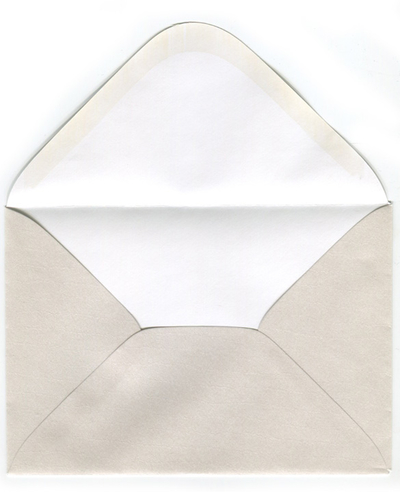Pearl envelope - snake motive
