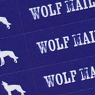 Stickers set 