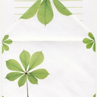Stationery set 