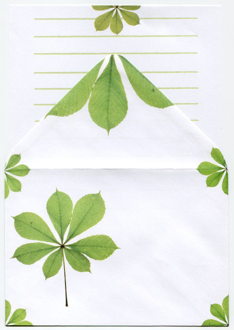 stationery set chestnut leaves stationery accessories