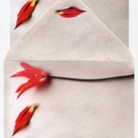 Stationery set 