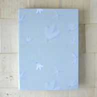 Stationary Box Set 