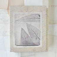 Stationary Box Set 