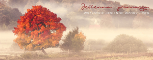 Jesienna promocja pl