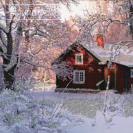 Cabin in the snow