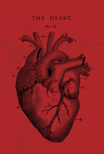 Heart
