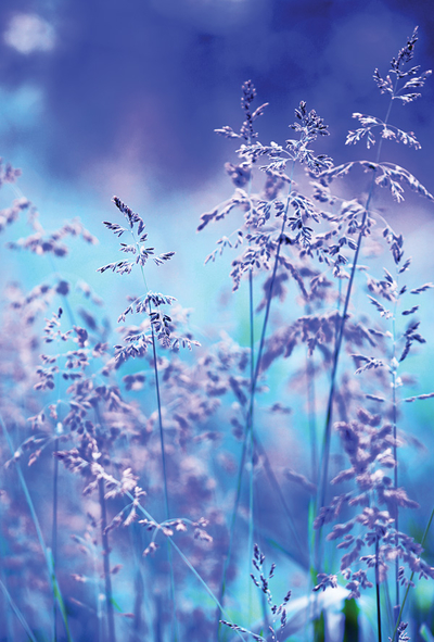 Blue nature