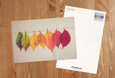 Colorful autumn leaves