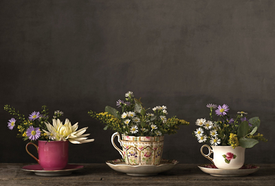 Flowers in a tee cups