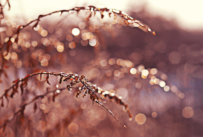 Ice bokeh