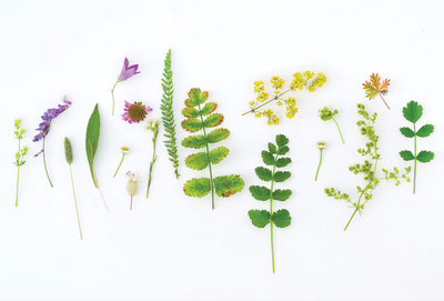 Nature composition