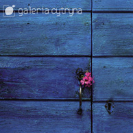 Galeria Cytryna - Blue gate