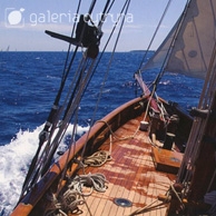 Galeria Cytryna - Yacht