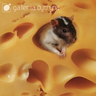 Galeria Cytryna - Mouse in a cheese