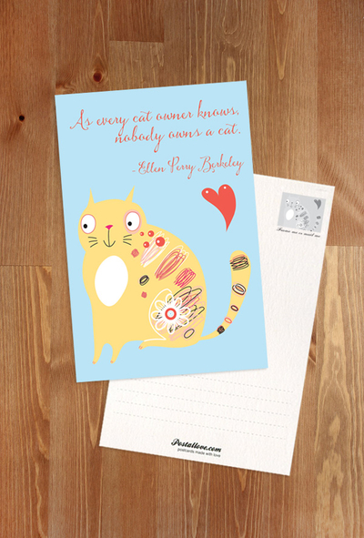 Kitten's quotes - 