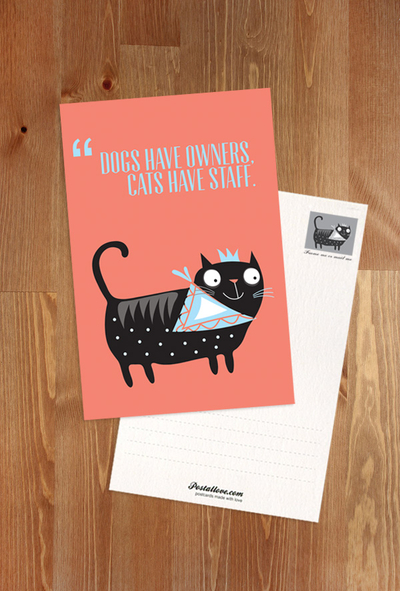 Kitten's quotes - 