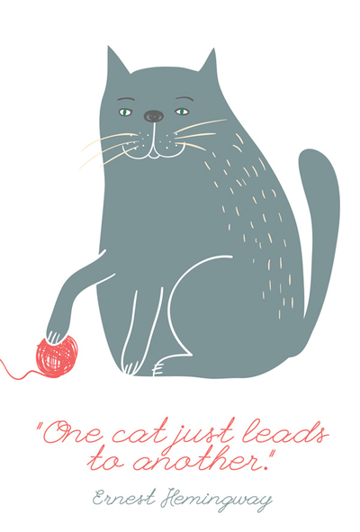 Kitten's quotes - 