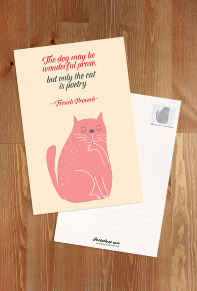 Kitten's quotes - The dog may be wonderful prose, but only the cat is poetry