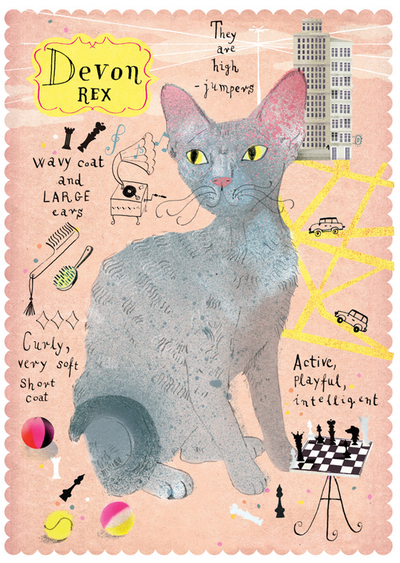 Devon Rex