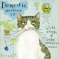Domestic cat