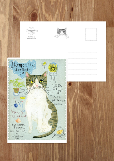 Domestic cat