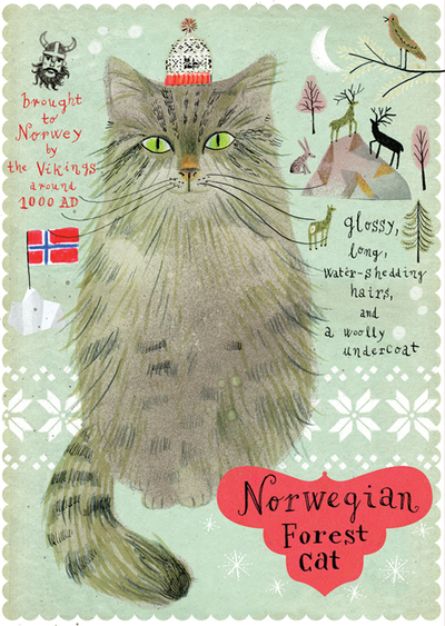 Norwegian Forest cat