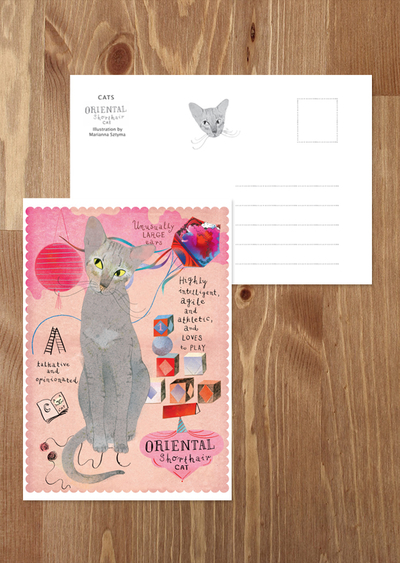 Oriental cat
