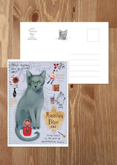 Russian Blue cat