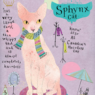 Sphynx cat