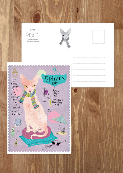 Sphynx cat