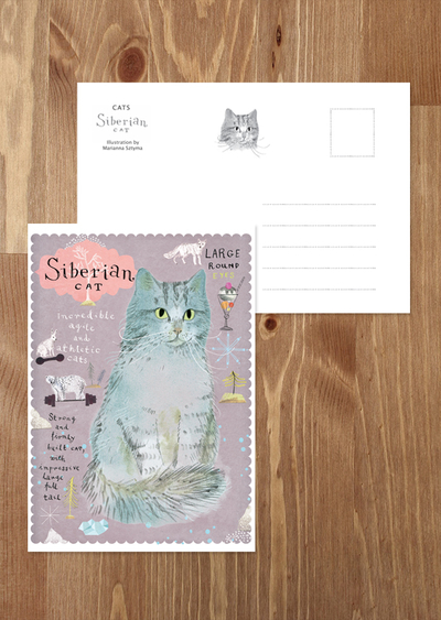 Siberian cat