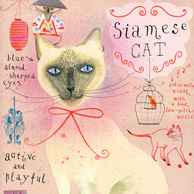 Siamese cat