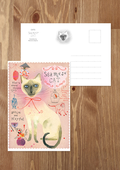 Siamese cat