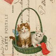 Collage with cats in a basket