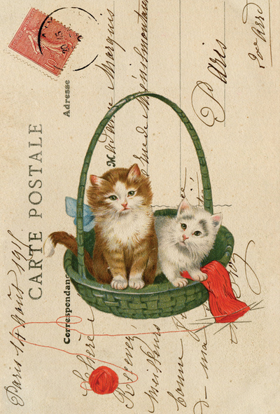 Collage with cats in a basket