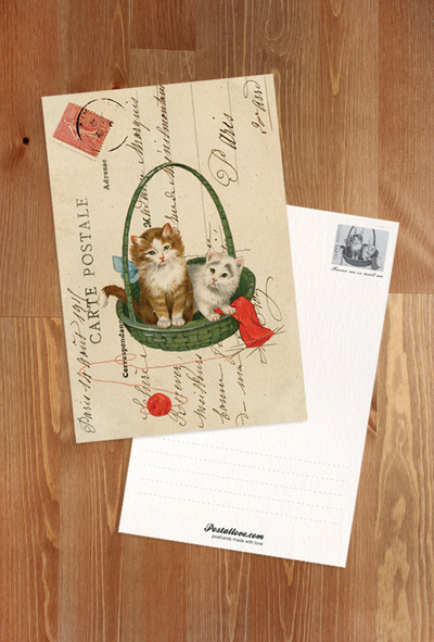 Collage with cats in a basket