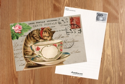 Cat & cup collage