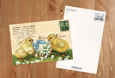 Collage with Easter chickens