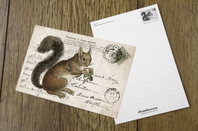 Collage with a squirrel