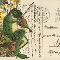 Collage with a frog