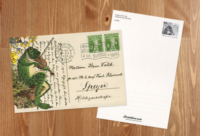 Collage with a frog