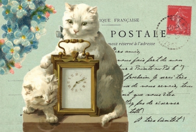 Cats with a clock