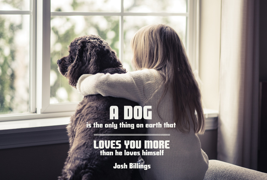 Quote A Dog Is The Only Thing On Earth That Loves The Most Beautiful Quotes Collection Postcards Postallove Postcards Made With Love