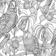 Coloring postcard - parrots