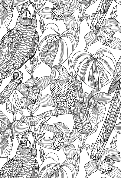 Coloring postcard - parrots