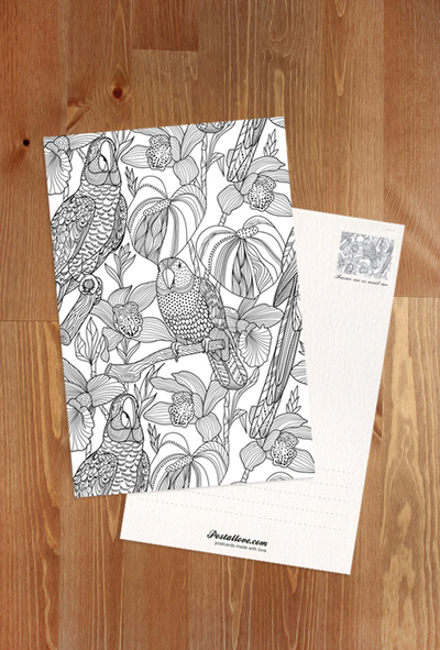 Coloring postcard - parrots