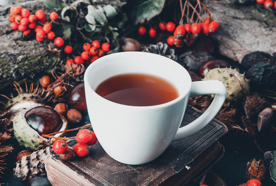 Autumn tea and chestnuts / Culinary / Postcards / Postallove