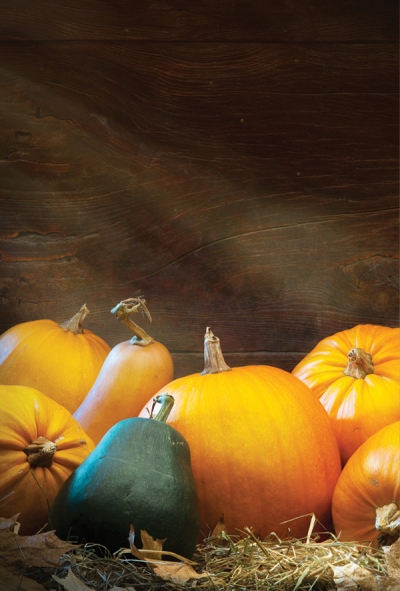 Still life with pumpkins