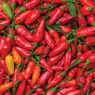 Peppers